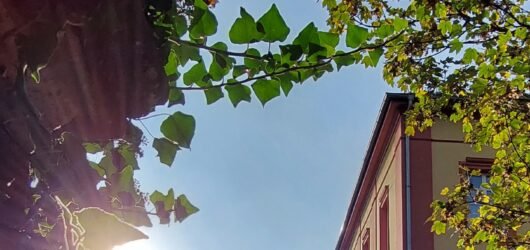 Historische Bedeutung