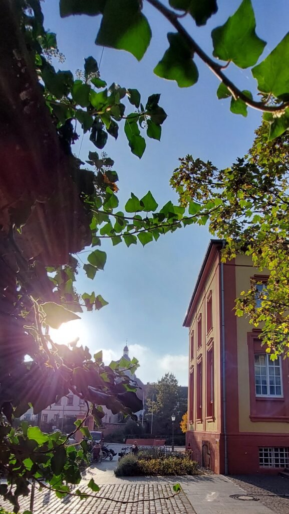 Blick am Schloss Kirchheimbolanden vorbei mit untergehender Sonne